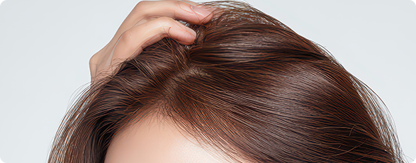 Hair Transplant Program